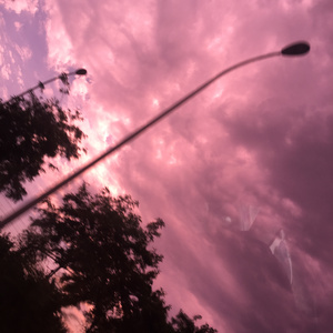 官场太太献身系列小说
