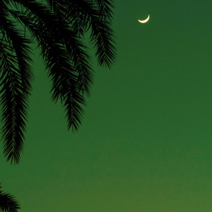 官场太太献身系列小说
